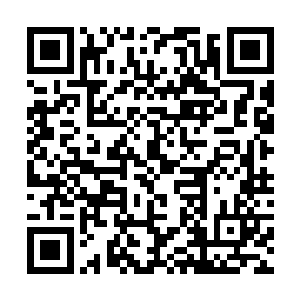这个蓄水泳池当中竟然被林烽放了数百条的各种鱼类二维码生成