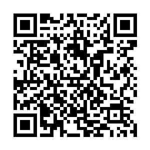 这个虚幻世界和以前向天明释放出来的虚幻世界是不一样的二维码生成