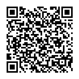 这个蠢货竟然说让他带着一群人假扮运粮队从张陟的眼皮底下穿过二维码生成