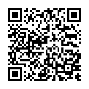 这个补天石和他当初得到的那个拳头大小的补天石不同二维码生成