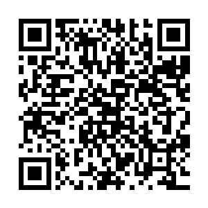 这个被他派来杀秦方的杀手只知道黑豹刚从号子里出来没多久二维码生成