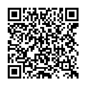 这个被他顺手收拾的少年就是周家家主之子周鹏二维码生成