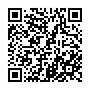 这个被冠以爆炸狂魔和毁灭公爵称号的著名导演二维码生成