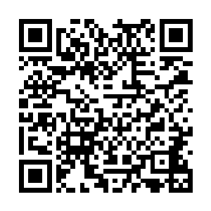 这个观点在所有看到这一幕的狗仔的脑海里回荡着二维码生成