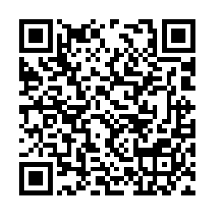 这个计划就是针对咱们清河村的特产问题而设想的二维码生成