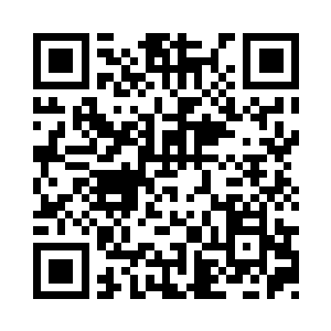 这个计划是不可以情谊的付诸行动地二维码生成