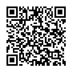 这个计划甚至连我也是在行动之前才得到命令的二维码生成