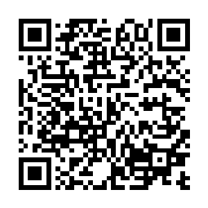 这个贱嘴就先交给我吧……你先去收拾另外的那几个家伙二维码生成