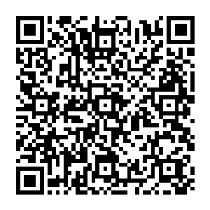 这个走进生命中的男人似乎一下子就把隋棠父亲那个本来就很模糊的盂彻底抹去了二维码生成