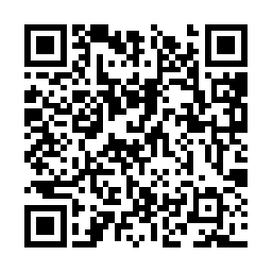 这个赵老板不是说和泡菜国的那个美女有点关系么二维码生成