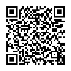 这个起点的必备条件就是体内的天地元力要完全转化成混沌之力二维码生成