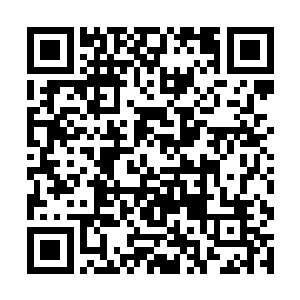 这个距离高阶修士只要半盏茶不到的时间就能飞过来二维码生成