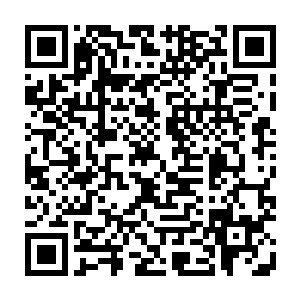 这个跟灵兽本身的血脉有着极大的关联……有些灵兽注定了这一生无论如何努力二维码生成