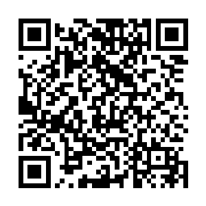 这个身影就是他在瑞典皇宫下发现的那个晶石中的天外生物二维码生成