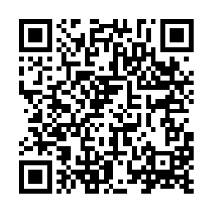 这个过年的问候也是让大家把福口袋给塞得慢慢的二维码生成