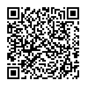 这个还只是丫鬟身份似乎就从来不把表小姐甚至是十三公主放在眼里的人二维码生成