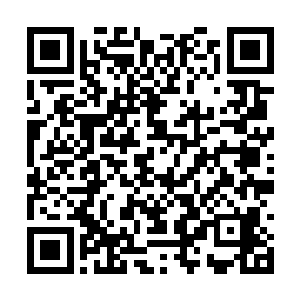 这个还没有落下来那边又一条鱼儿正从海面上跃起二维码生成