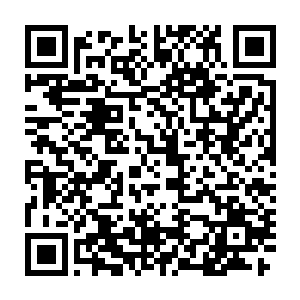 这个速度固然不像之前三个月从天阶二星提升到天阶五星初期那么显眼二维码生成