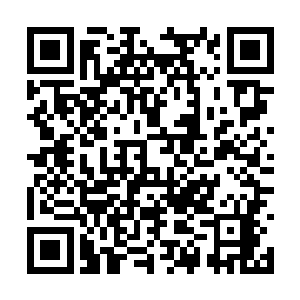 这个邪王守护的防御层次可不只是简单的至尊层次二维码生成