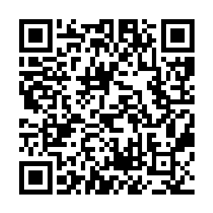 这个郑喵喵应该就是对小艾彻底变坏走向不归路的罪魁祸首二维码生成
