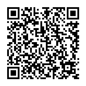 这个部落族长之子回去之后添油加醋的说了一番北宫寒是多么的厉害二维码生成