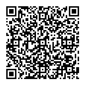 这个酒精基地到现在为止都是按照宗主的意思把这些植物纤维浆用来和煤渣混合之后当做燃料二维码生成