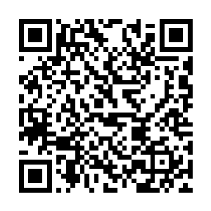 这个金色巨人也挥起了那膨胀得已经不像话的右拳二维码生成