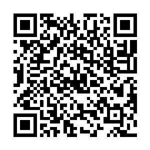 这个钱就输在了保加利亚这匹先弱后强的大黑马身上了二维码生成