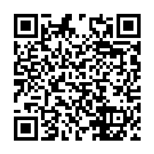 这个闪电生命凝聚体还对他释放出毫不掩饰的敌意二维码生成