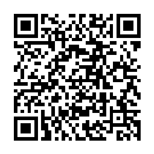 这个问题还很有可能是炼制未来丹药所必须经历的二维码生成