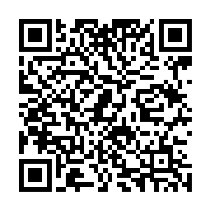 这个闻名于尸都却无人得见真容的男子今日为了她选择现世二维码生成