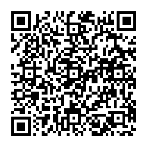 这个院子和屋子内再也没有什么值得收起来的东西了――影壁和屏风张潇晗都想收走二维码生成