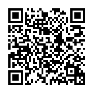 这个院子早在情报网关的人过来之前就已经被买了下来二维码生成