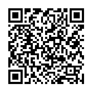 这个随手召出的圆形金盾足以防住普通天仙的全力一击二维码生成