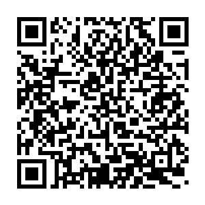 这个雍州崔离在这一次铁围山会战之中岂不是就击杀了两个大地骑士二维码生成