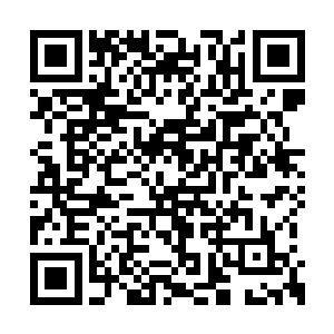 这个雨家的公子天赋已经可以和那些人相媲美了二维码生成