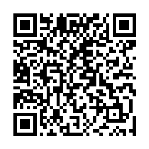 这个霸主帮会就神不知鬼不觉地从这个世界上彻底消失了二维码生成