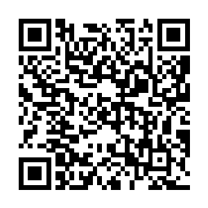 这个非常灵动的少年恐怕是适应不了精灵之都的生活的二维码生成