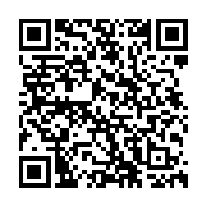 这个项目在很快就出现省政府常务会议的议题上二维码生成