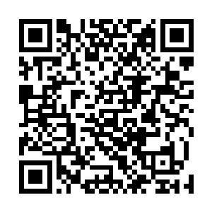 这个馆一定程度上填补了松江缺少高端室内运动馆的空白二维码生成