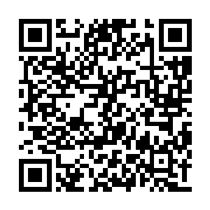 这个高大却不做作的身影就给了她无比的安全感二维码生成