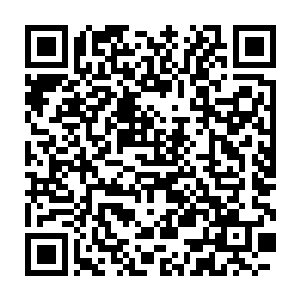 这个鸿蒙界以生命力强大著称的震天魔族被唐劫用灭世黑洞生生绞杀二维码生成