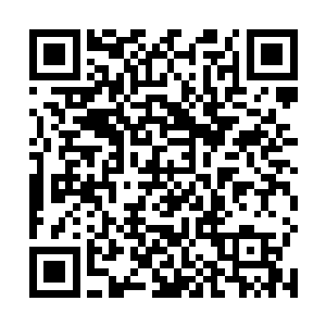 这个龙晨除了得到进入炎黄世纪影视集团工作的机会外二维码生成