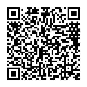 这丫头做过顾锦荣的贴身丫头……您说顾锦荣会不会记得她的老家在哪儿二维码生成