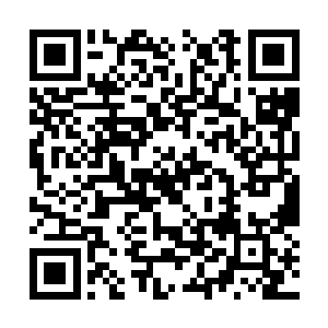 这丫头的睡相像个小猪一样……看看手机上的号码二维码生成
