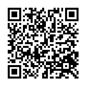 这中原大地上便是反清义士也都是金钱鼠尾傍身二维码生成