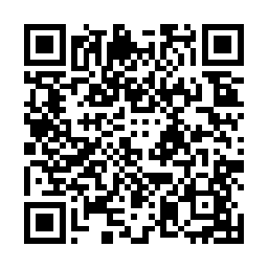 这丹药的力量会汇聚到血管里面化为空气净化那些血丝二维码生成