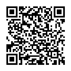 这丹药真的觉得他拥有压制住他杨风的资本了吗二维码生成