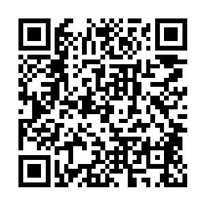 这主仆两人自是叶青和他临时调用的青木宗弟子二维码生成