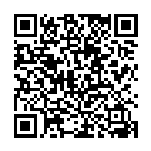 这乃是一个炼化了十一枚本命晶核的大圆满强者出手了二维码生成